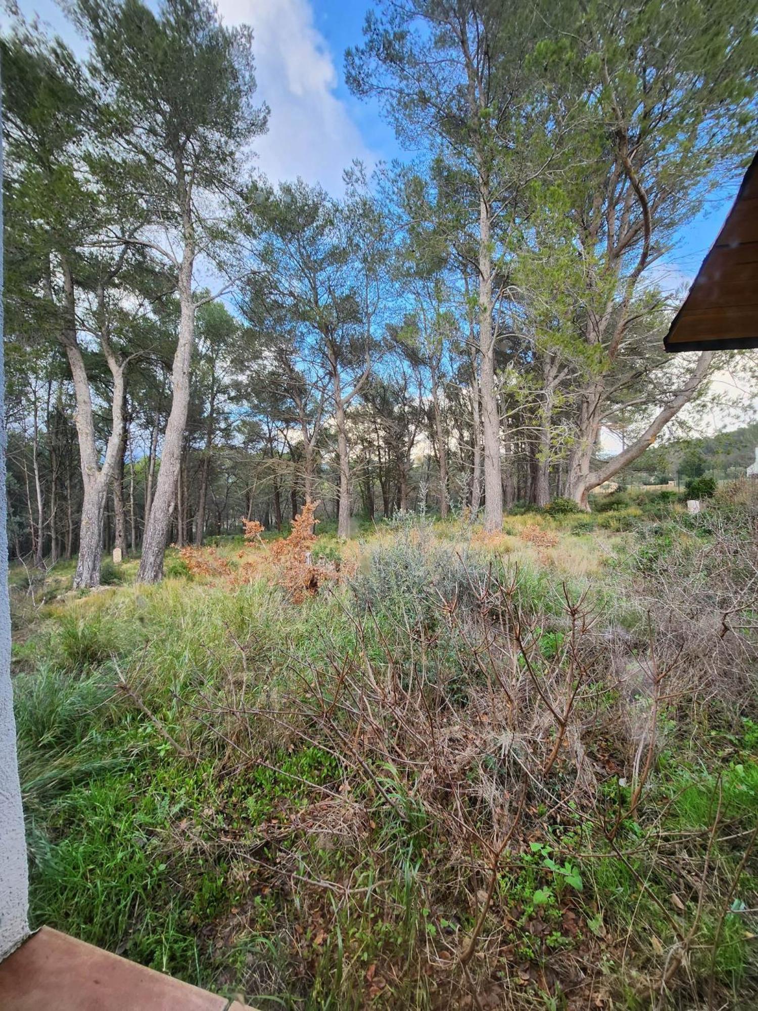 A L'Oree Des Pins - Gite Et Spa De 30 M2- Home Cinema Et Massage En Sup Cuges-les-Pins Eksteriør billede
